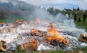 Tiêu hủy hàng chục nghìn gói thuốc lá nhập lậu ở Gia Lai