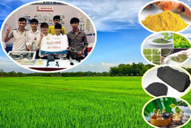 Xà phòng đen từ vỏ trấu