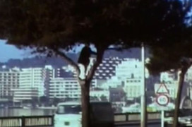 Gặp người đàn ông được sói 'nuôi' trong hang động suốt 12 năm