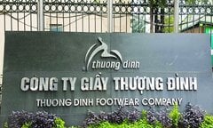 Báo cáo tài chính Giầy Thượng Đình bị Kiểm toán ‘từ chối đưa ra ý kiến’: Tổng giám đốc Giầy Thượng Đình nói gì?