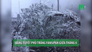 Clip: Băng tuyết phủ trắng đỉnh Fansipan giữa tháng 4