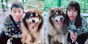 Thản nhiên nhè bã kẹo vào tay vợ, Trấn Thành phải nhận 'kết đắng' từ Hari Won