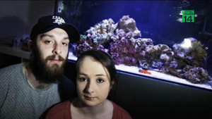 Rửa bể cá, cả gia đình suýt chết vì nhiễm độc