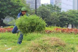 Hai học sinh chế tạo xe đạp cắt cỏ, an toàn cho người lao động