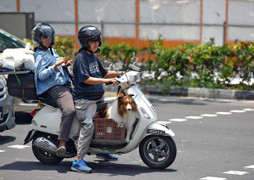 Vứt xe máy cũ, dân Singapore được chính quyền trả 60,7 triệu đồng
