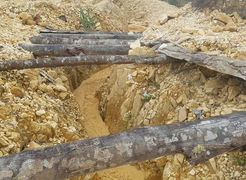 Đình chỉ trưởng công an xã hành hung 2 phóng viên điều tra phá rừng