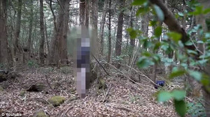 Đâm vợ nhập viện, cụ ông treo cổ tự tử