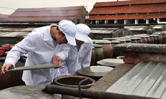 Độ đạm nước mắm Cát Hải được nâng cao nhờ công nghệ