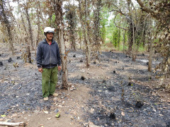 500 gốc tiêu của nông dân bị thiêu rụi, nghi phóng hỏa do mâu thuẫn