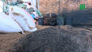 Chủ cơ sở 'nhuộm' cà phê bằng pin con ó sẽ bị phạt thế nào?