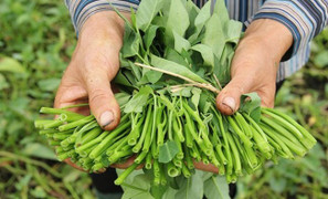 Hãi hùng những thực phẩm quen thuộc có nguy cơ nhiễm chì cao nhất