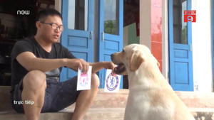 Clip: Chú chó Củ Cải có biệt tài làm toán, nhớ tên đội bóng gây bão mạng