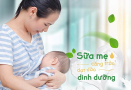 Cốm chùm ngây Moringa: Giải pháp tăng tiết sữa cho phụ nữ sau sinh