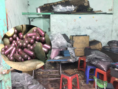 Khởi tố vụ án 'thuốc trị ung thư từ than tre' ở Hải Phòng