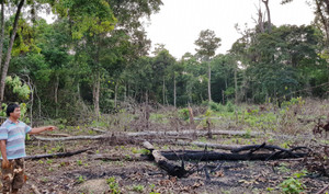 Hơn 20 cán bộ công an, kiểm lâm ở Phú Quốc vượt rừng dập lửa