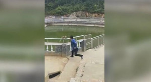 Video: Đẩy khỉ xuống ao, du khách bị con vật quay lại trả thù đau đớn