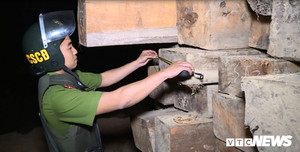 Bộ Công an vây bắt gỗ tại Vườn Quốc gia Yok Đôn