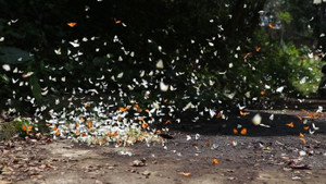 Những địa điểm gần Hà Nội các gia đình không thể bỏ qua dịp nghỉ lễ 30/4-1/5