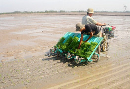 Ứng dụng cơ giới hóa giảm lượng giống gieo sạ
