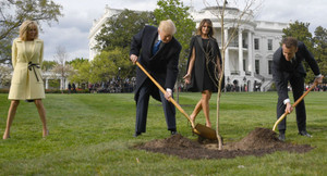 Hé lộ tung tích cây sồi Tổng thống Trump và ông Macron trồng tại Nhà Trắng sau khi biến mất bí ẩn