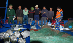 Truy bắt 2 tàu khai thác tận diệt thủy sản ở Hà Tĩnh