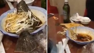Clip: Cá bị hấp chín vẫn nhảy vọt khỏi bát khiến thực khách khiếp vía