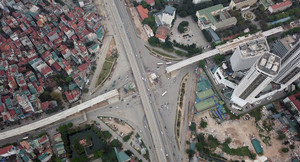 Hàng loạt cây sưa đỏ ở Hà Nội bị di dời để thi công tuyến Metro