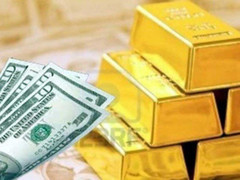 Một người dân đòi UBND TP.HCM trả lại 2 thỏi vàng