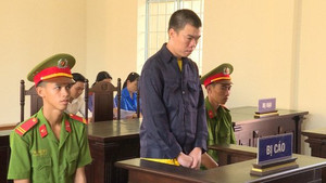 Đang trốn truy nã vẫn gây ra 14 vụ cướp ở miền Tây