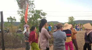 Đi chăn bò thuê, 3 người bị sét đánh thương vong