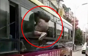 Clip: Tài xế xe buýt nhanh trí đóng cửa, trộm vật vã chui qua cửa sổ thoát thân
