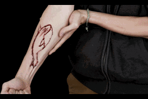 Ngăn chặn trò chơi quái quỷ 'Thử thách Cá voi xanh' lan đến học sinh miền Tây