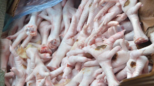 Cận cảnh 400 kg chân gà, sụn gà bốc mùi trên đường tiêu thụ