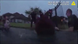 Clip: Cảnh sát liều mình nhảy xuống hồ nước đầy cá sấu, rắn độc để cứu người