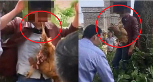 Clip: Trộm gà bị dân trói vào cây, bắt ngậm gà chết trong miệng