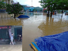 Mưa lớn ngập phố, dân thành phố Bắc Kạn bắt được rắn dài cả mét trên đường