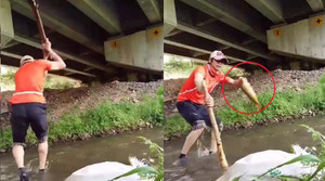 Clip: Lác mắt xem bắt cá bằng gậy dễ như bỡn