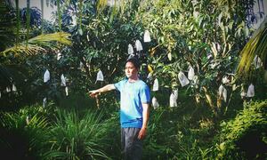 Thu hồi hàng loạt quyết định cưỡng chế đất do sai sót ở Cần Thơ