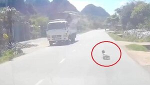 Clip: Bố mẹ ngủ trưa, con bò ra đường đầy ô tô, xe tải giữa trời nắng