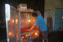 Bán tiêu được giá nhờ máy sấy tiêu sạch