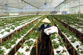 SmartAgri - ứng dụng quản lý nông nghiệp thông minh