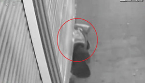 Clip: Đạo chích dùng 'Súc Cốt Công' chui qua cửa cuốn đóng kín, trộm vàng như phim