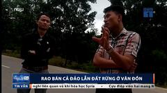 Ngang nhiên rao bán cả đảo lẫn đất rừng ở Vân Đồn