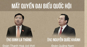 Infographic: Quốc hội khoá 14 giảm 9 đại biểu sau nửa nhiệm kỳ