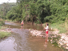 Đi bắt nhái, bắt cá, 4 học sinh chết đuối thương tâm