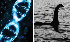 ‘Huyền thoại’ quái vật hồ Loch Ness sẽ được các nhà khoa học kiểm chứng bằng DNA