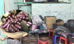 Thuốc trị ung thư từ than tre: Thêm giám đốc doanh nghiệp bị bắt