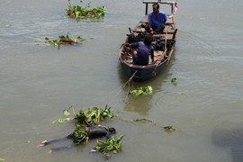 Nghi án người đàn ông ghen tuông giết vợ vứt xuống sông