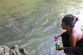 Những bí ẩn kinh dị về cặp 'cá ma' khổng lồ thoắt ẩn thoắt hiện trong hang đá Thanh Hóa