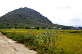 Đi chăn dê thuê, 2 ông cháu bị sét đánh chết thương tâm